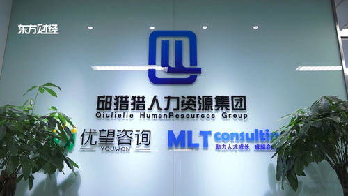 上海優(yōu)望企業(yè)管理咨詢(xún)挖掘優(yōu)質(zhì)人才,給能源領(lǐng)域提供不竭動(dòng)力